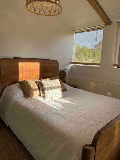 Cosy Cabane Boise Solaire, Balneo Bath Et Toilette Seche A La Ferme Mimizan-Plage Dış mekan fotoğraf